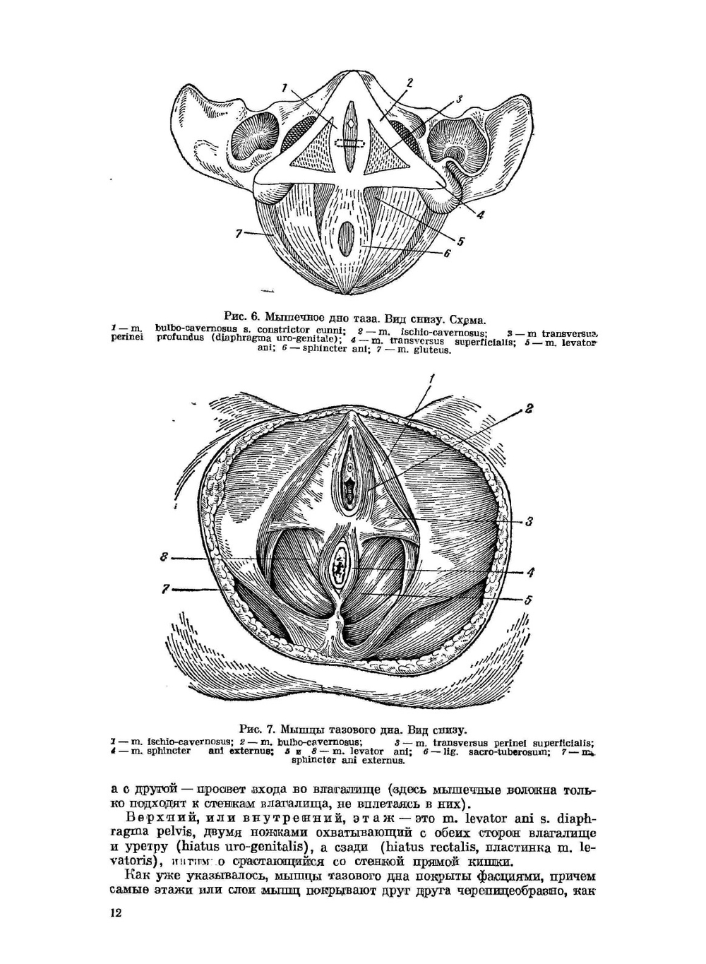 Оперативное акушерство | М.С. Малиновский