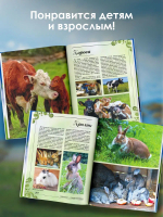 Большая книга о животных. 1001 фотография