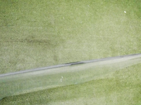 DSCN7551.JPG