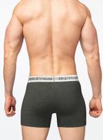 Трусы-боксеры из плотного хлопкового полотна (Размер: L) (Цвет: темно-серый)