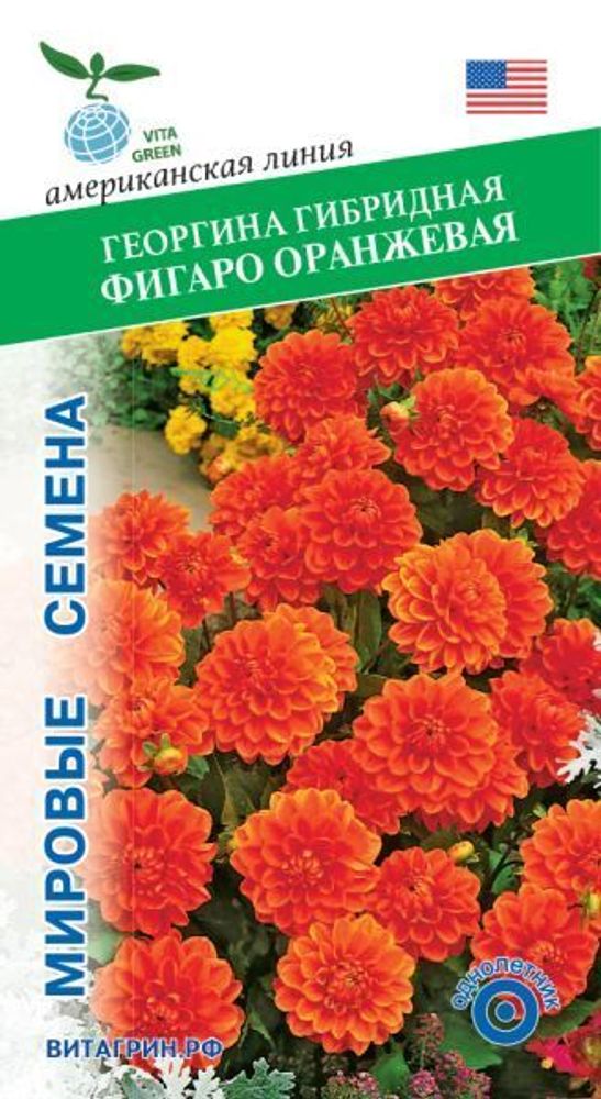 Георгина гибридная Фигаро Оранжевая10шт Мировые Семена VITA GREEN