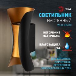 Декоративная подсветка ЭРА WL42 BK+GD светодиодная 10Вт 3500К черный/золото IP54 для интерьера, фасадов зданий