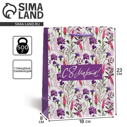 Пакет ламинированный Only for you, MS 18 х 23 х 8 см 9933750