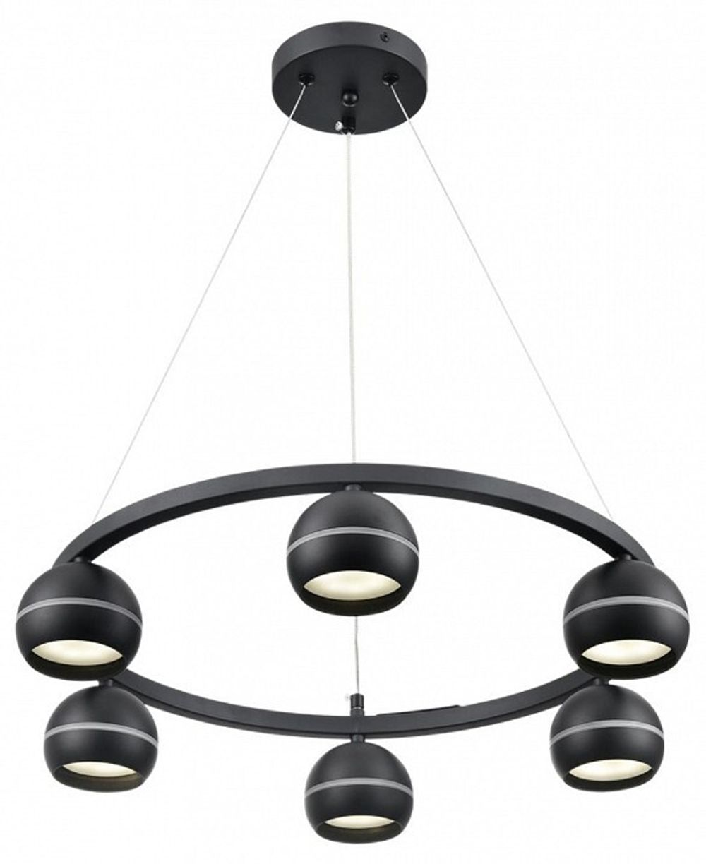 Подвесная люстра Lumion Luazana 8242/6