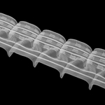 Шторная лента Oz-Is арт. 4391 MP вафельная сборка, коэф сборки 1:1,5, цвет прозрачный (ширина 80 mm)