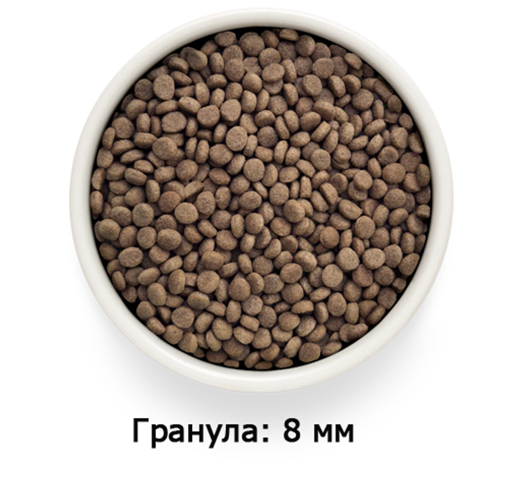GRANDORF VETDIET Dermatosis Fish - ВЕТДИЕТА для кошек для кошек с заболеваниями кожи.