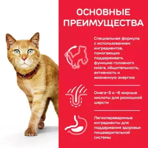 Пауч для кошек старше 7 лет Hill`s Science Plan Feline Adult 7+ Youthful Vitality, для борьбы с возрастными изменениями, с лососем