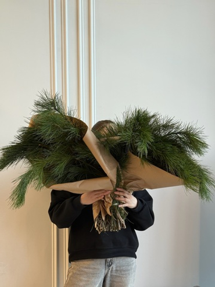 Хвоя - охапка кедр