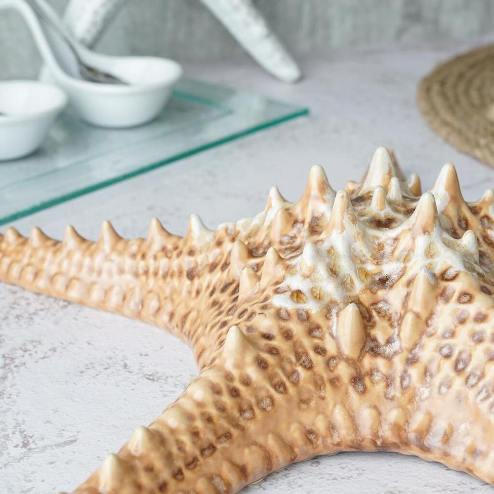 Блюдо для подачи 28*28 см h6 см 100 мл Звезда Pearl Starfish Frutti di Mare P.L. [1]