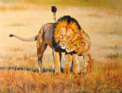 Коллекция Животные