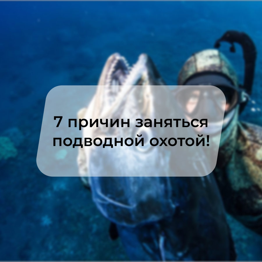 7 причин заняться подводной охотой!