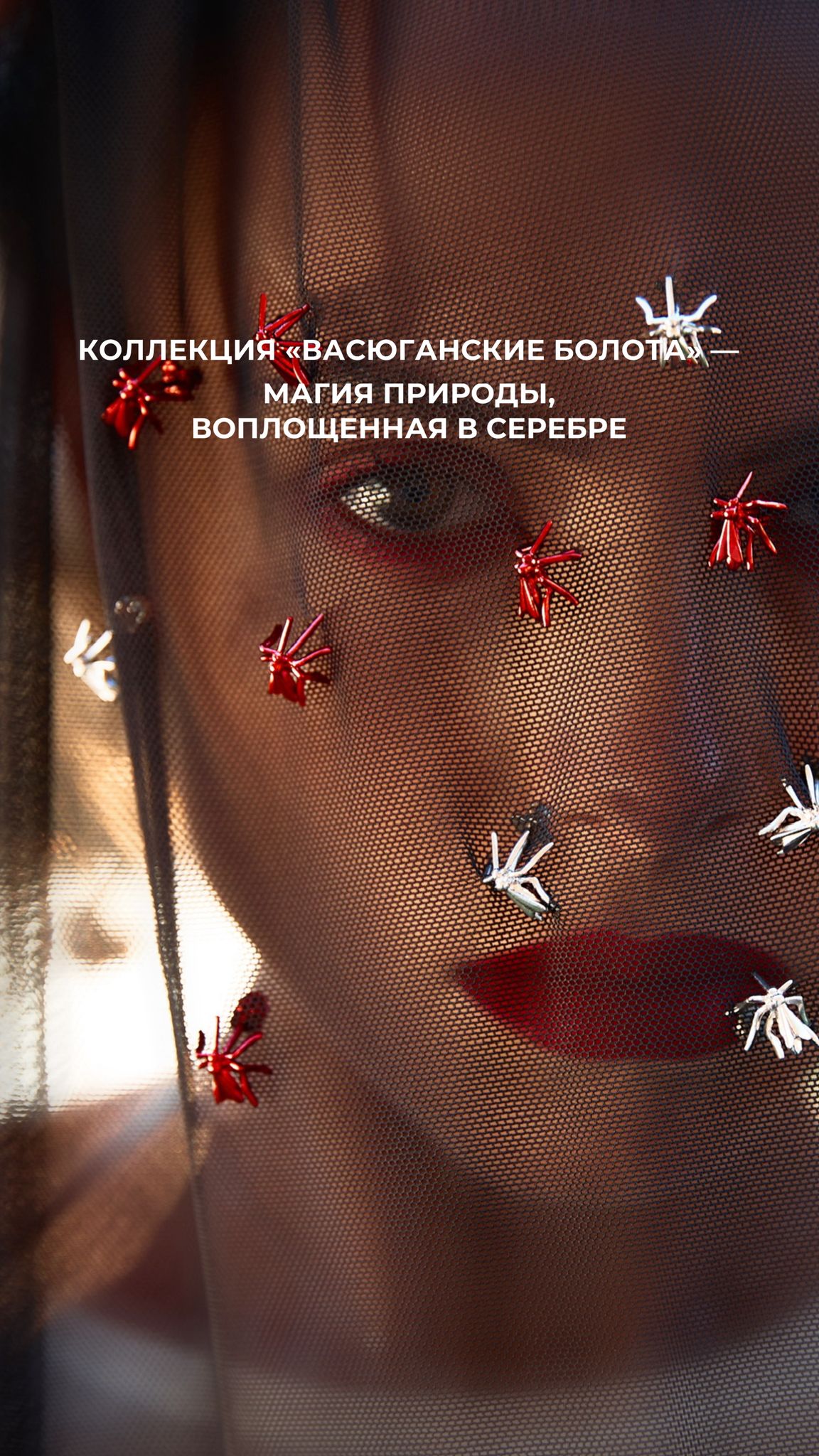 к коллекции