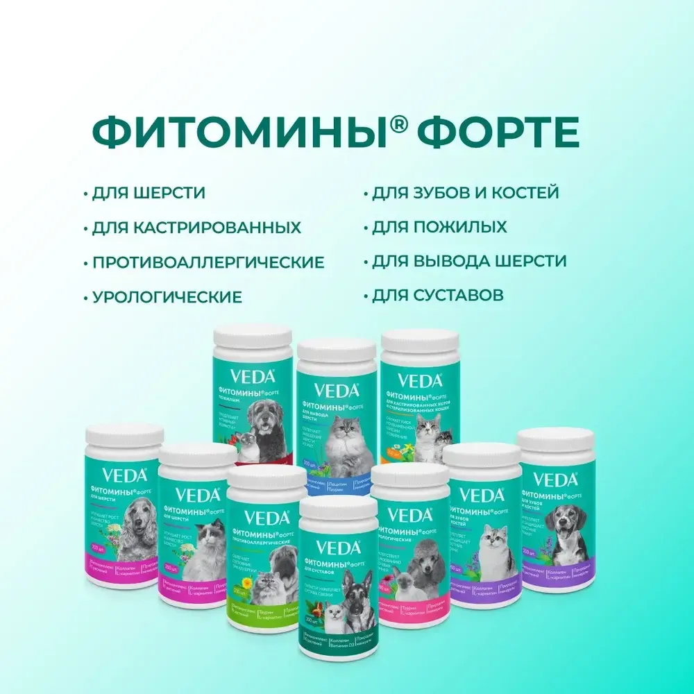 Витамины Фитомины Форте для шерсти собак, на основе растительных, минеральных и биоактивных веществ, 200 таблеток Витамины Фитомины Форте для шерсти собак, на основе растительных, минеральных и биоактивных веществ, 200 таблеток