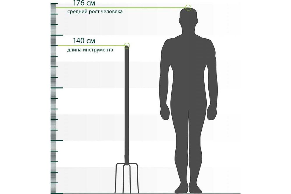 63807 Вилы 4-х рогие, сенные, 210х310х1400мм, деревянный черенок Сибртех