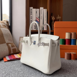 Hermes Birkin 25