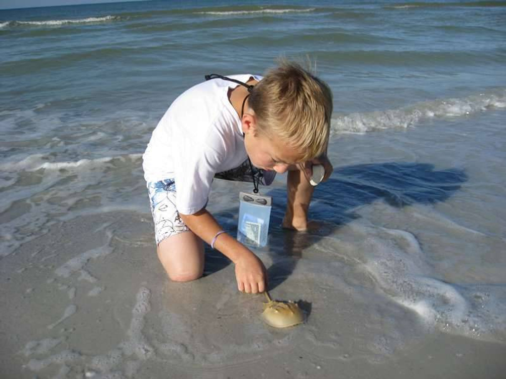 Водонепроницаемый чехол Aquapac 604 - Keymaster