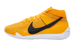 Кроссовки Nike Kd 13 Tb "University Gold" 13