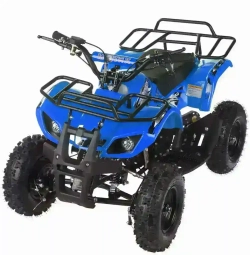 Квадроцикл MOTAX ATV Mini Grizlik X-16 (мех.)