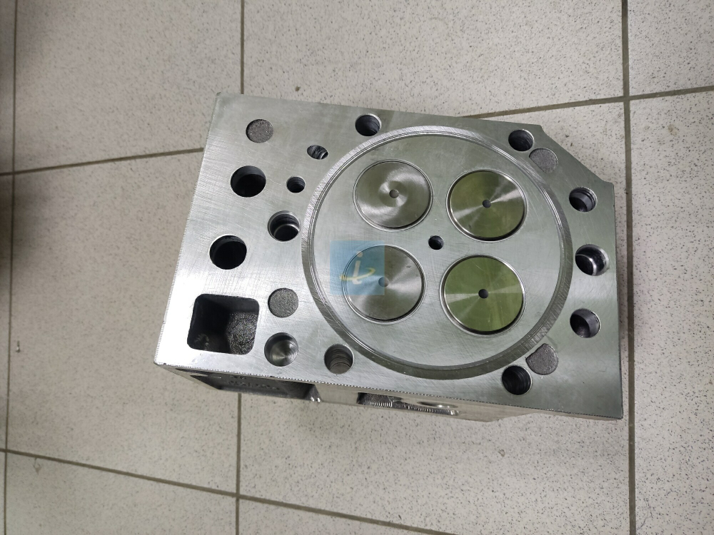 Головка цилиндров с клапанами 840.1003010-20