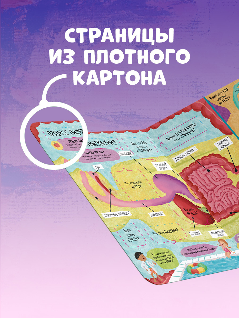Большая книга с окошками. Тело человека