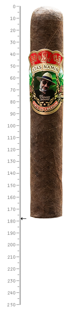 Stas Namin State of Freedom