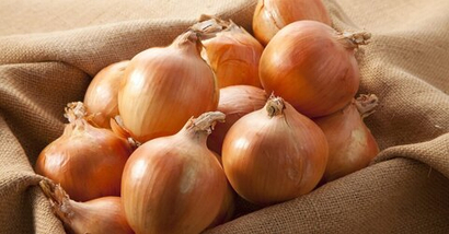 Лук репчатый