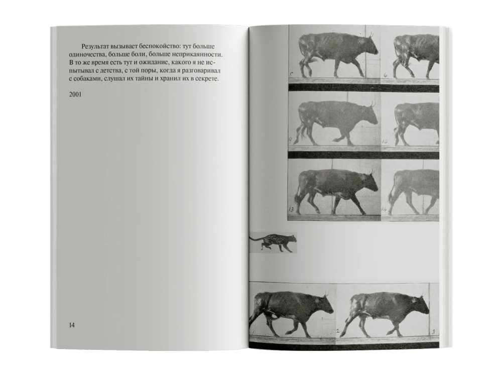 Зачем смотреть на животных?