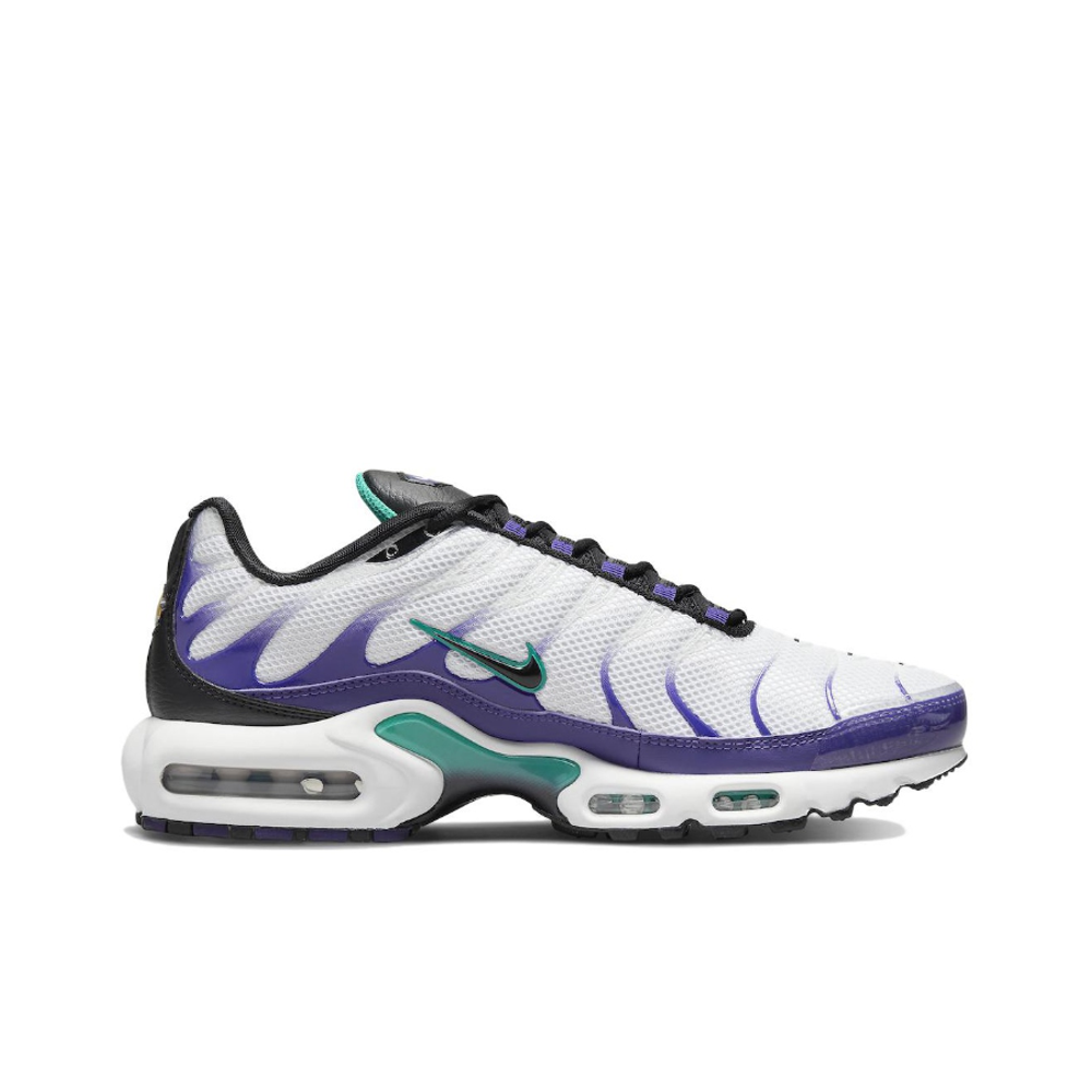Мужские кроссовки Nike Air Max Plus 'Grape' DM0032‑100