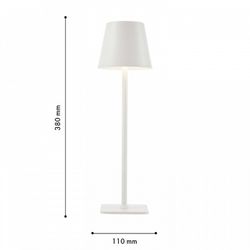 Настольная лампа декоративная F-promo Pyari 4614-1T