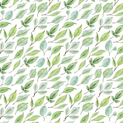 Зеленые листья