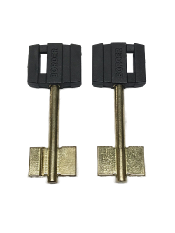 Заготовка дверняк БОРДЕР 2 в пластике (065-02)