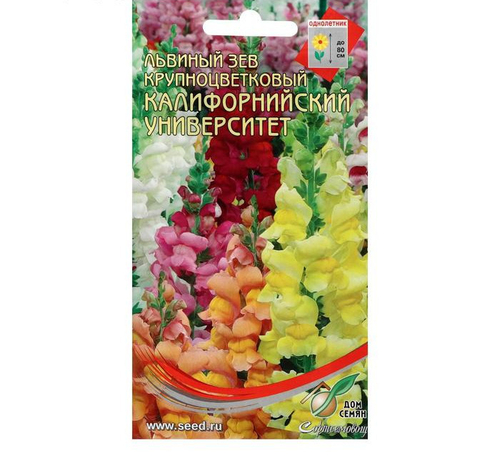 Львиный зев "Калифорнийский Университет", 400 шт