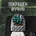 Кастомный кейкап "Суккулент фиолетовый "