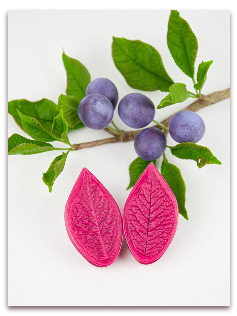 Лист сливы малый