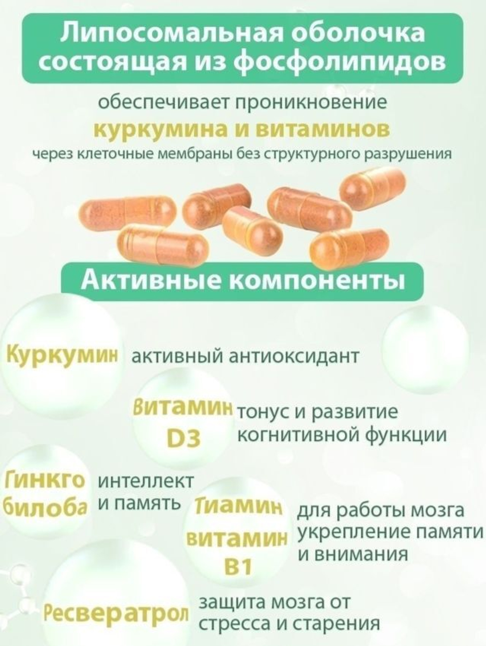Липосомальный куркумин с РЕСВЕРАТРОЛОМ ДЛЯ ПАМЯТИ И МОЗГА, ВЕГАН, 60 капсул