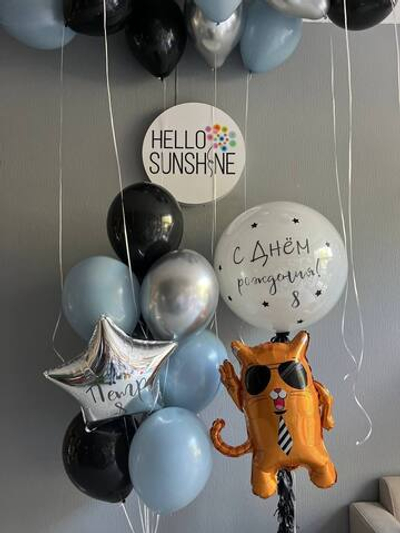 Набор шаров Крутой кот в очках с галстуком