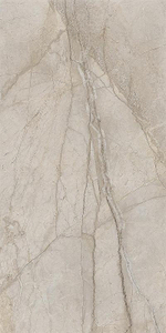 Керамогранит Italon Stellaris Elegant Silver люкс 610015000687 80х160 см