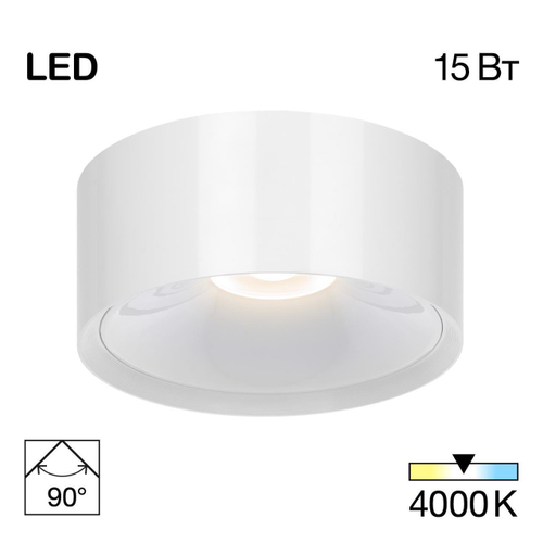 Накладной светодиодный светильник Citilux Rover CL743150N