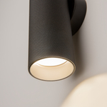 Настенный светильник (бра) Maytoni C080WL-02-GU10-B