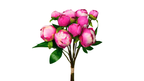 Букет закрытых пионов (9 бутонов) - Темно-розовый