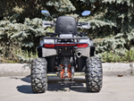 Armour 200 PRO