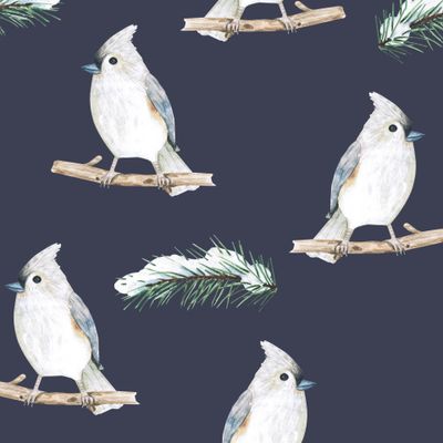 зимние птички на синем