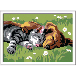 Ravensburger - CreArt Книжка-раскраска для детей Спящий котенок с собакой 289301