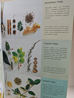 Секреты восточной медицины. Практическая энциклопедия традиционных методов диагностики и лечения Китая, Индии, Тибета и Японии