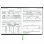 Дневник 1-11 класс 48 л., кожзам (твердая с поролоном), флуоресцентный, BRAUBERG, "Котик", 106907