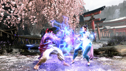 Street Fighter 6 - Year 2 Character Pass (для ПК, цифровой код доступа)