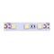 Светодиодная лента SWG 14,4W/m 60Led/m 5050SMD холодный белый 5M SWG560-12-14.4-UW-М 009263