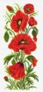 Полевые маки