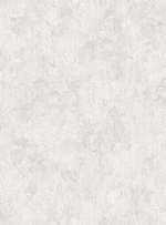 Титул фон  - 11 белая