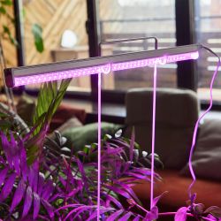 ULI-P20-10W-SPSB IP40 WHITE Светильник для растений светодиодный линейный. 560мм. выкл. на корпусе. Спектр для рассады и цветения. TM Uniel